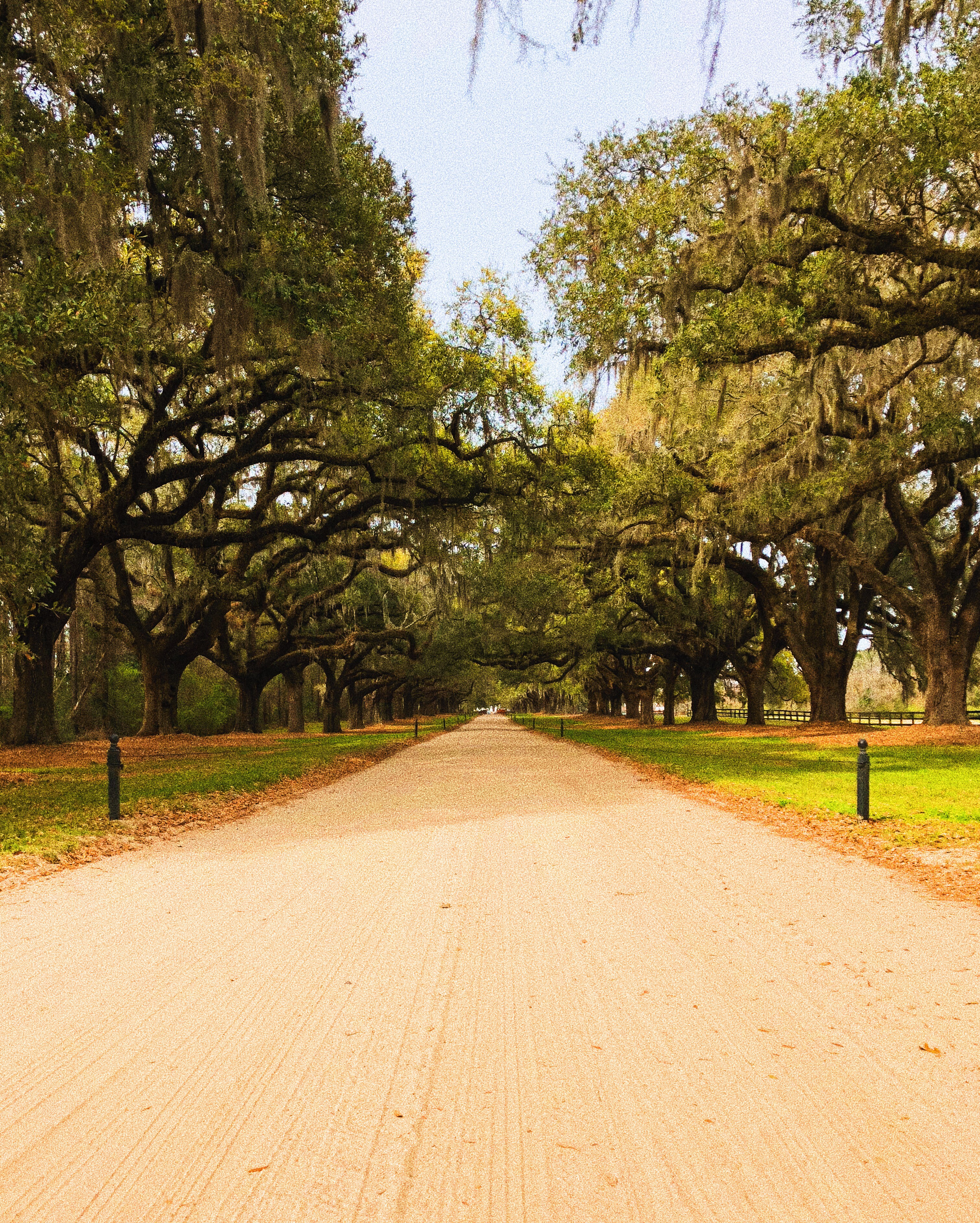 Charleston, South Carolina: Girls Weekend